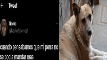 La perra desenterró algo raro y aterró a toda la familia