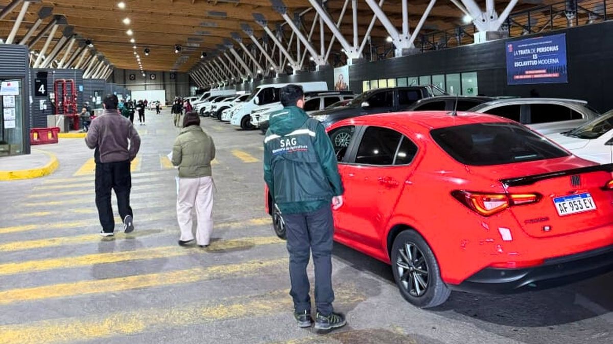 Este fin de semana largo en Chile se reforzará la atención en los pasos fronterizos turísticos, como Los Libertadores.  Este fin de semana largo en Chile se reforzará la atención en los pasos fronterizos turísticos, como Los Libertadores.