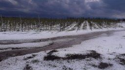 Granizó en varios sectores de Mendoza y las alertas por tormentas continuarán