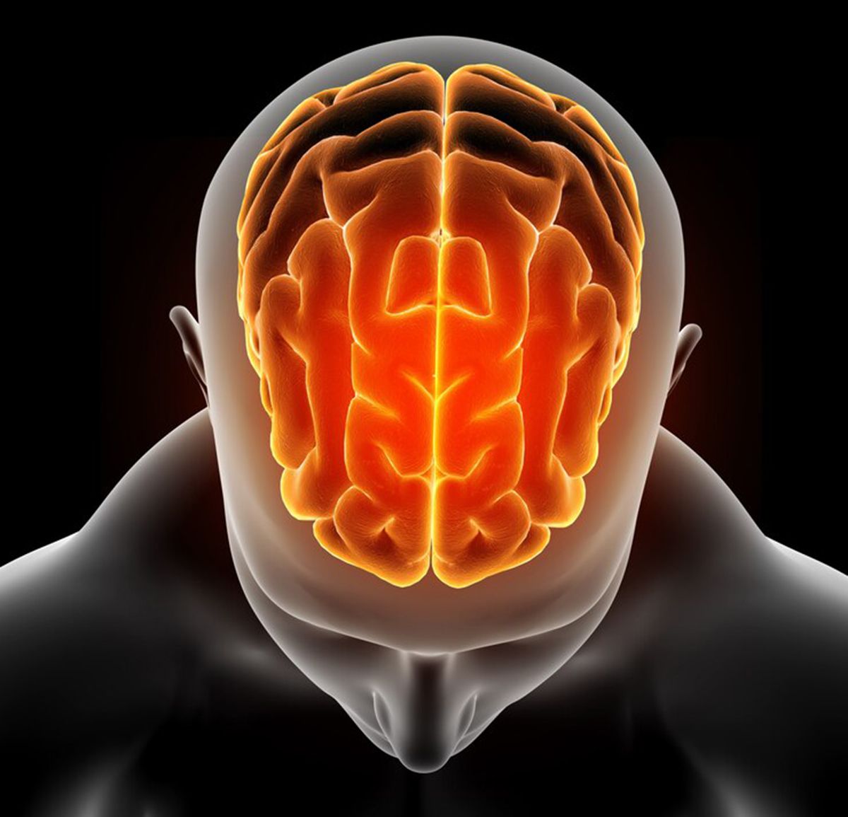 La actividad cerebral tiende a activarse en los momentos previos a la muerte. La actividad cerebral tiende a activarse en los momentos previos a la muerte.