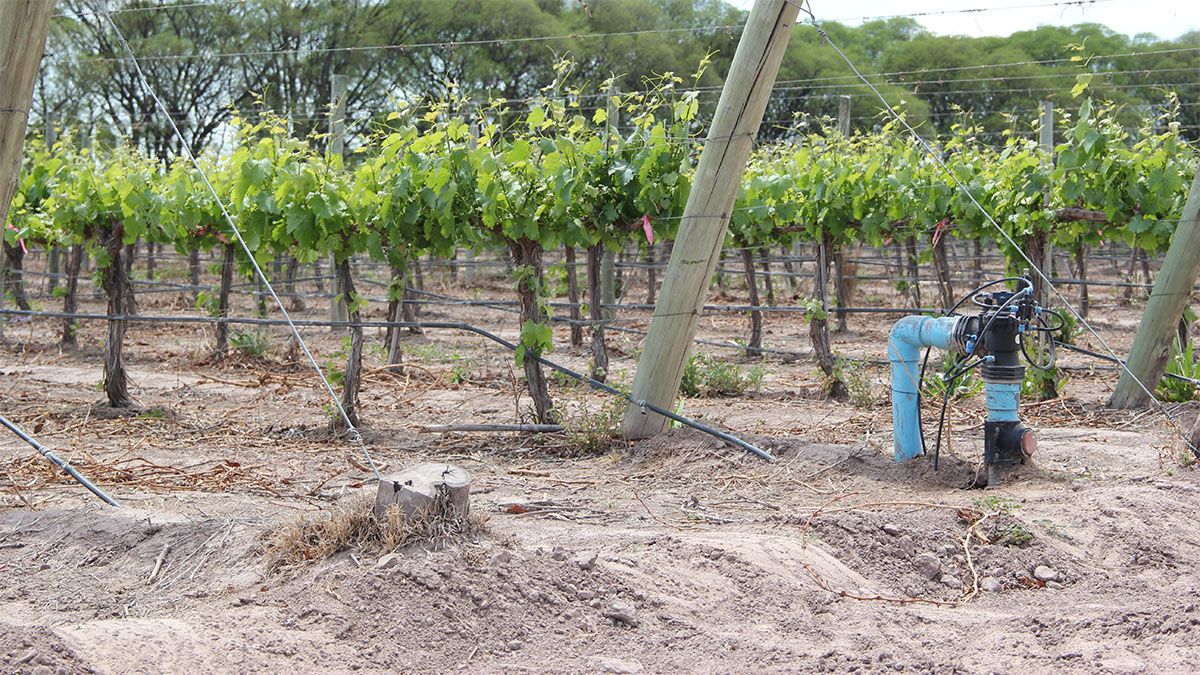 Las perforaciones de agua para riego agrícola están bajo la lupa. Irrigación exigirá a los productores medir el consumo con caudalímetros Las perforaciones de agua para riego agrícola están bajo la lupa. Irrigación exigirá a los productores medir el consumo con caudalímetros