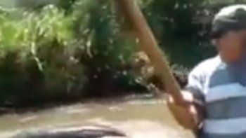 ¡Macho dijo la partera! Le agarró la cola a una anaconda gigante