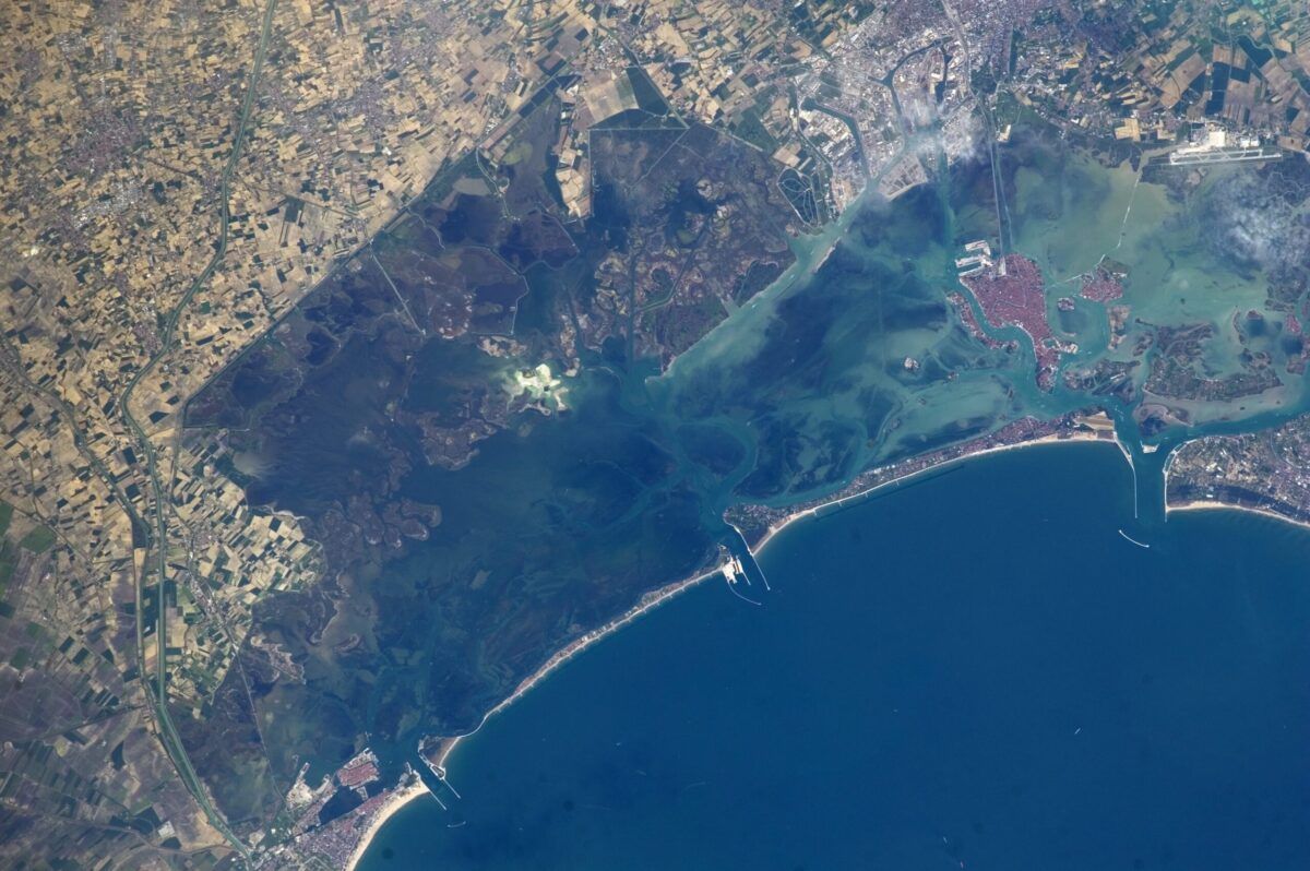 La costa de Venecia fue escenario del increíble descubrimiento. La costa de Venecia fue escenario del increíble descubrimiento.