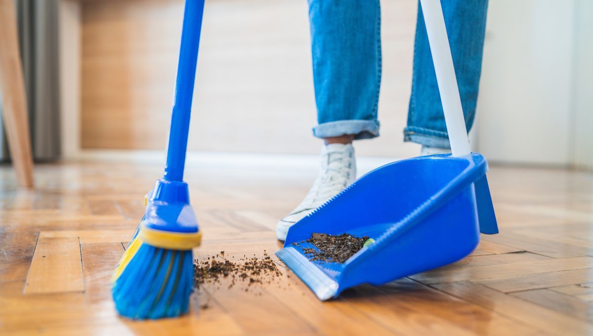 Limpiar la casa. Limpiar la casa.