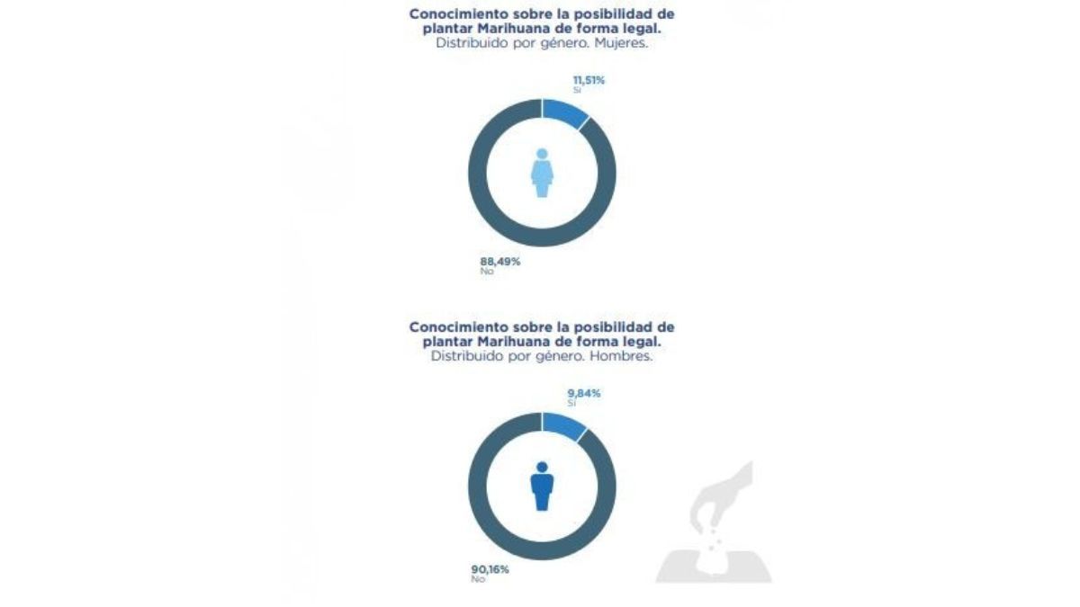 No todos saben que se puede cultivar cannabis. No todos saben que se puede cultivar cannabis.