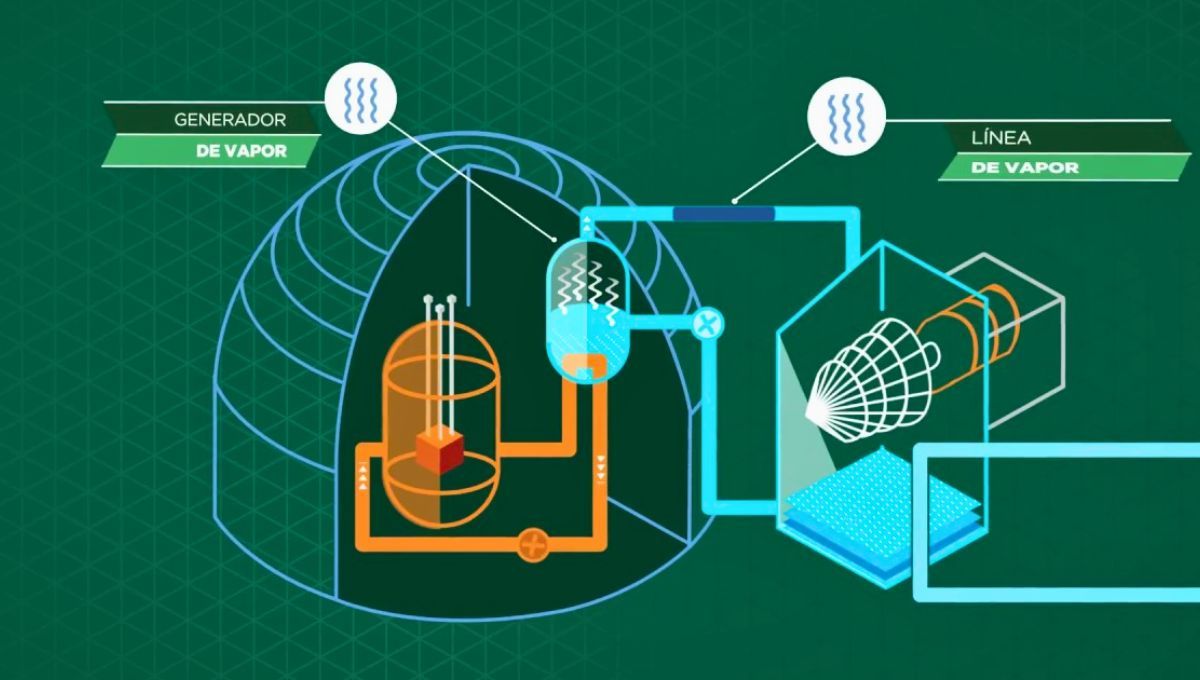 Esta central nuclear permitió que haya un importante ahorro de recursos naturales con menor impacto ambiental. Esta central nuclear permitió que haya un importante ahorro de recursos naturales con menor impacto ambiental.