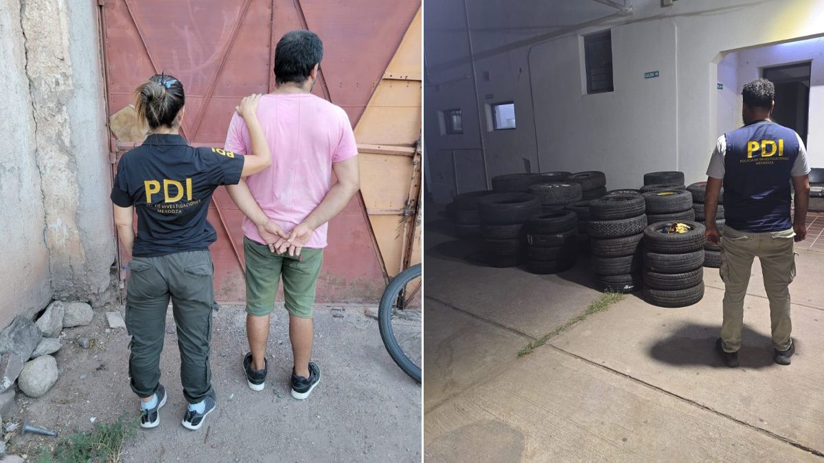 En el lugar donde encontraron 11 bicicletas robadas, también había autos, 60 cubiertas y detuvieron a un hombre. En el lugar donde encontraron 11 bicicletas robadas, también había autos, 60 cubiertas y detuvieron a un hombre.