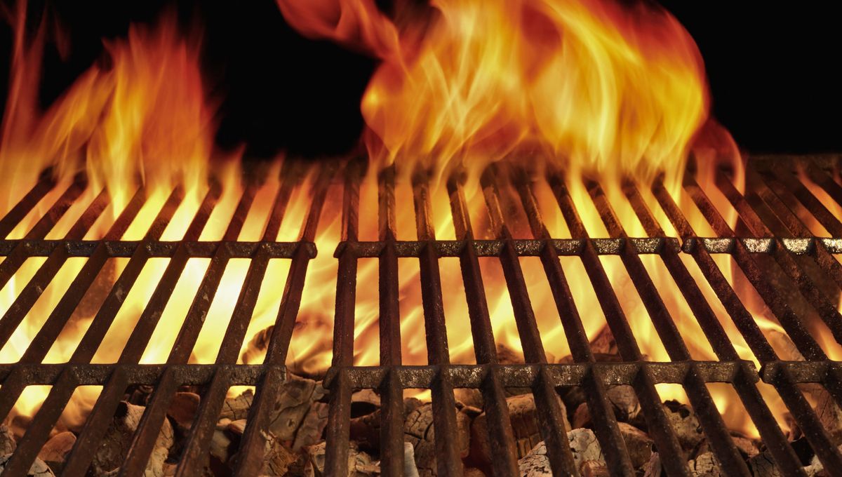 Es importante limpiar la parrilla despu&eacute;s y antes de realizar el asado.&nbsp;