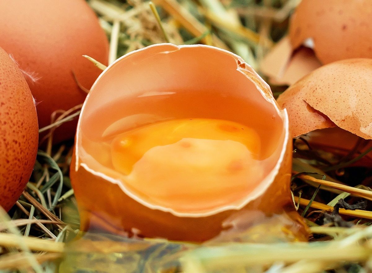 Toma aire al saber qué ocurre si comes huevo crudo. Toma aire al saber qué ocurre si comes huevo crudo.