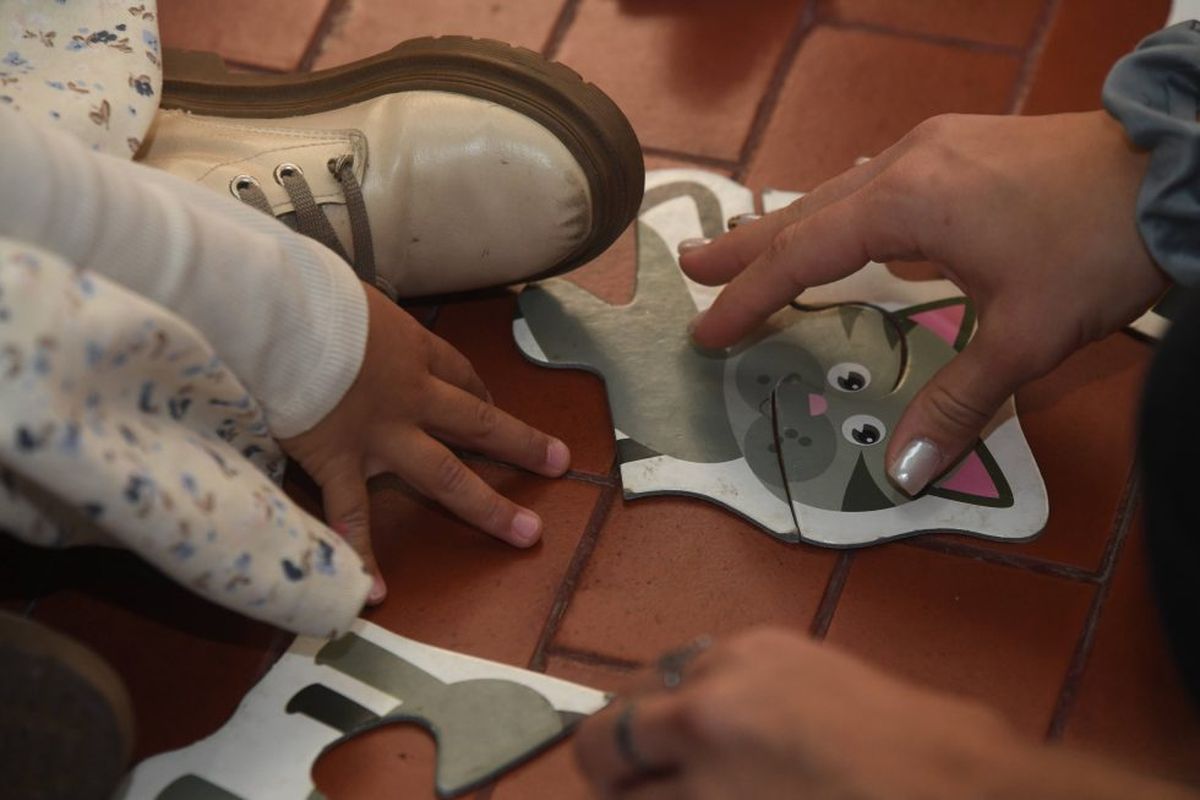 El programa requiere de, al menos, un paseo por semana. El programa requiere de, al menos, un paseo por semana.