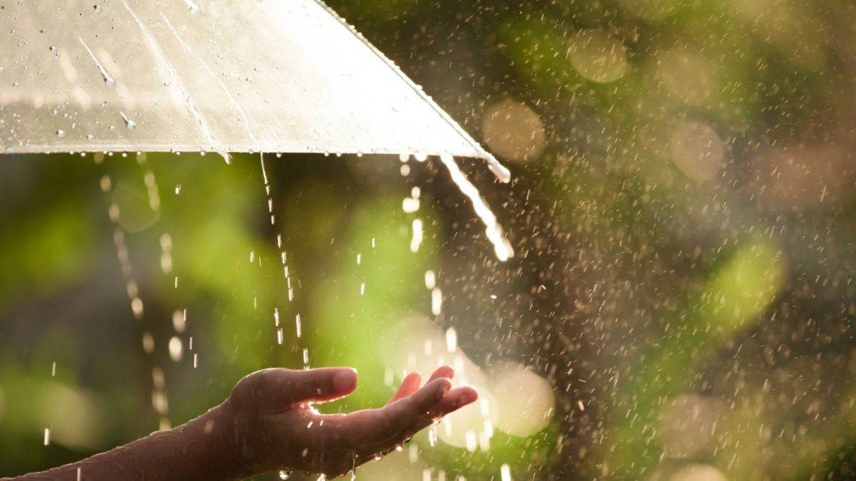 Más grave que la lluvia ácida: el fenómeno ambiental que preocupa a los científicos Más grave que la lluvia ácida: el fenómeno ambiental que preocupa a los científicos