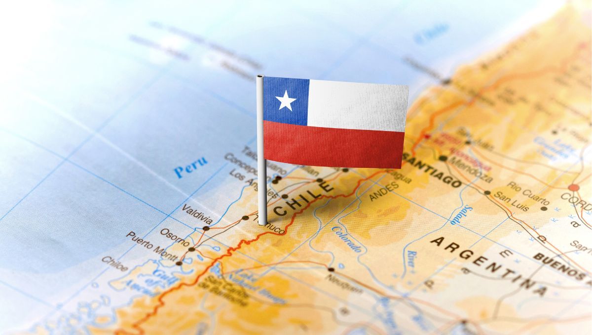 Madera de calidad: pino, eucalipto y especies nativas impulsan las exportaciones. Madera de calidad: pino, eucalipto y especies nativas impulsan las exportaciones. 