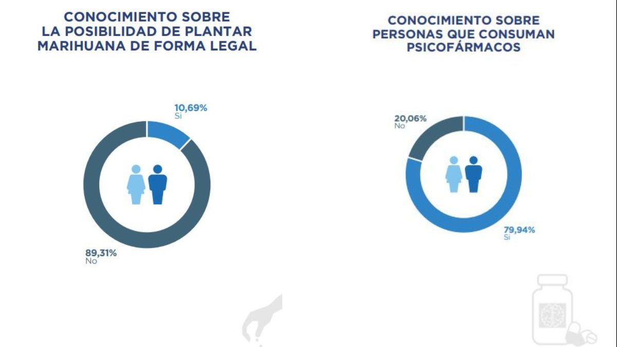 Algunos resultados de la encuesta sobre consumo.