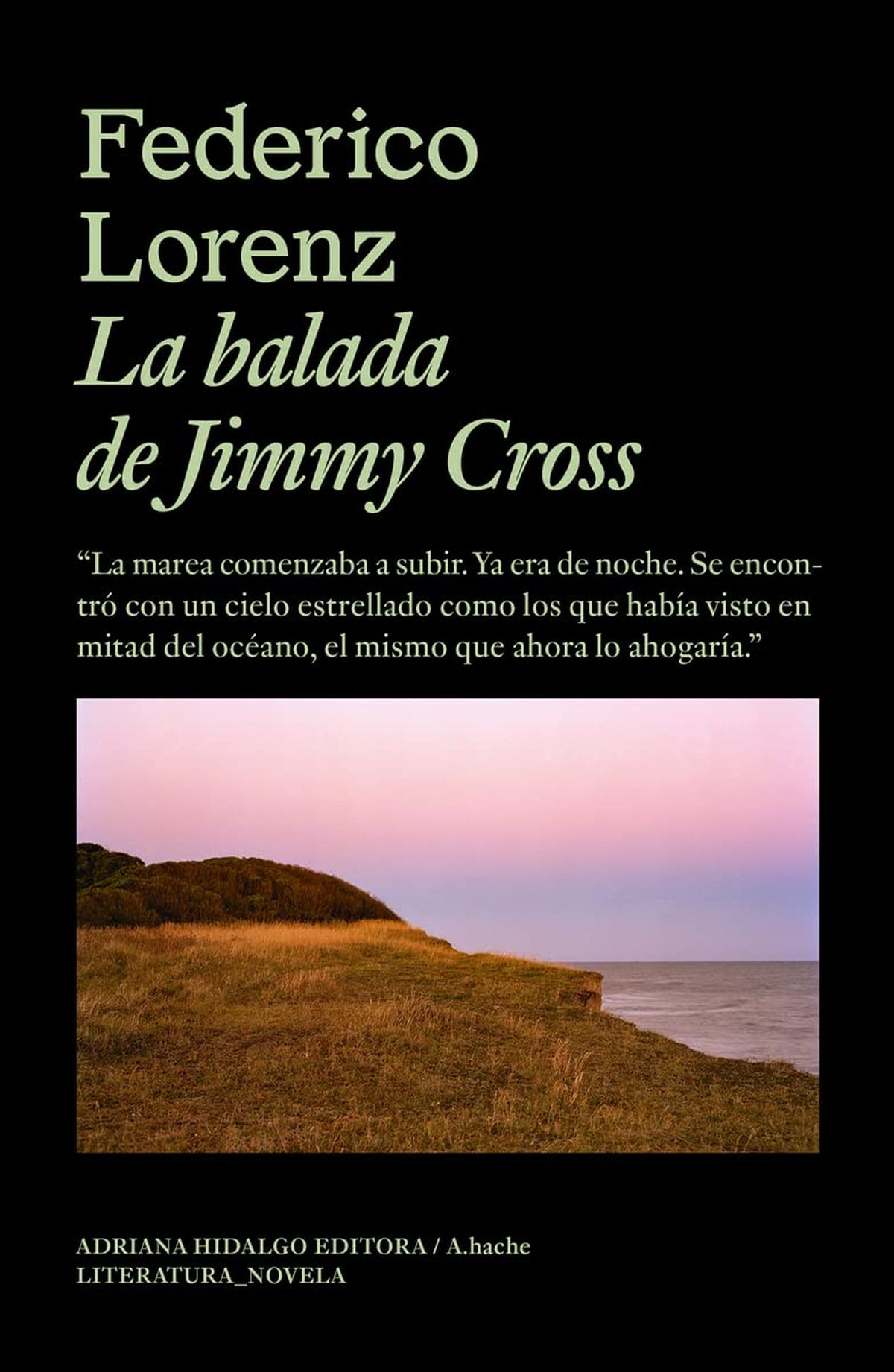 Tapa de La Balada de Jimmy Cross. Tapa de La Balada de Jimmy Cross.