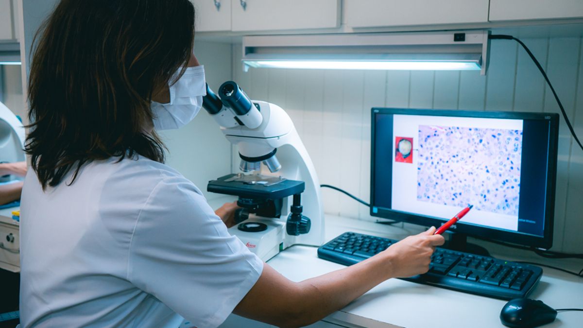 La hipófisis es una pequeña glándula que puede generar grandes problemas. 