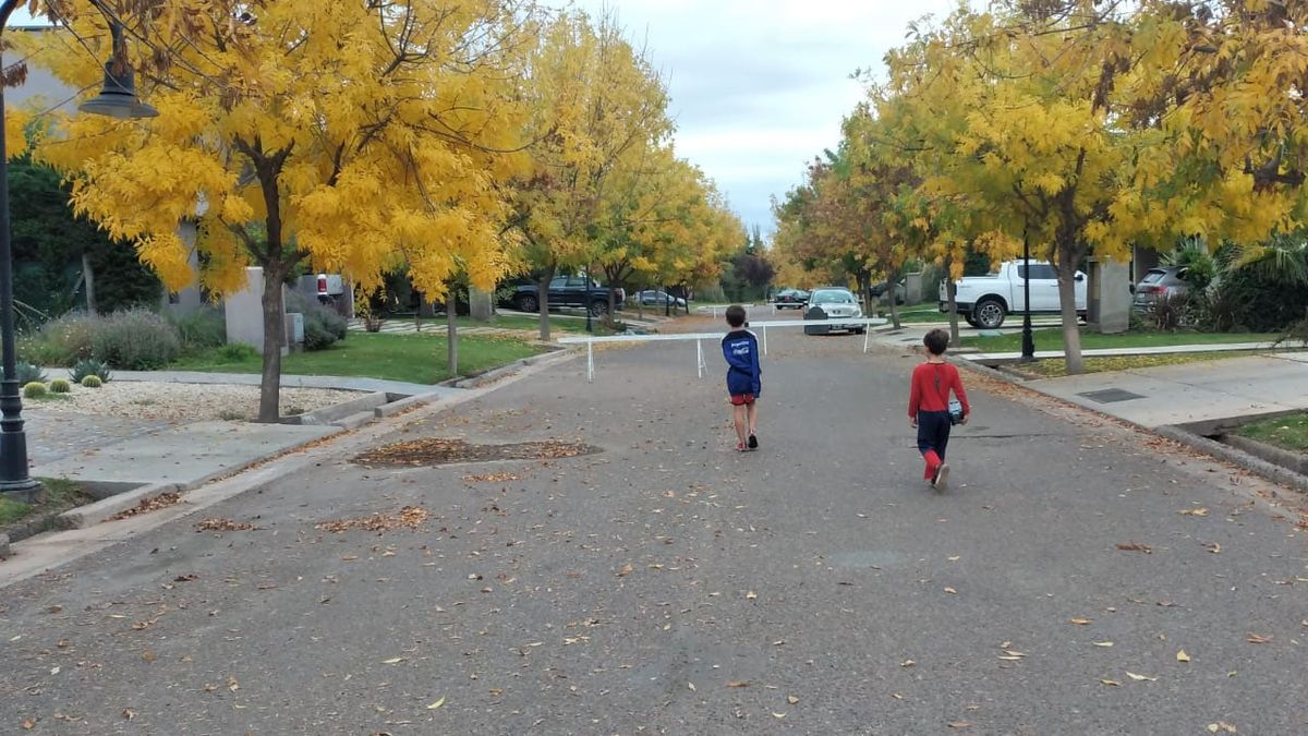 Las máximas para este jueves y el viernes rondará los 20 grados y el sábado ingresará un frente frío. Las máximas para este jueves y el viernes rondará los 20 grados y el sábado ingresará un frente frío.