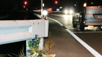 Un japonés atropelló y mató a una mujer mientras jugaba Pokémon GO