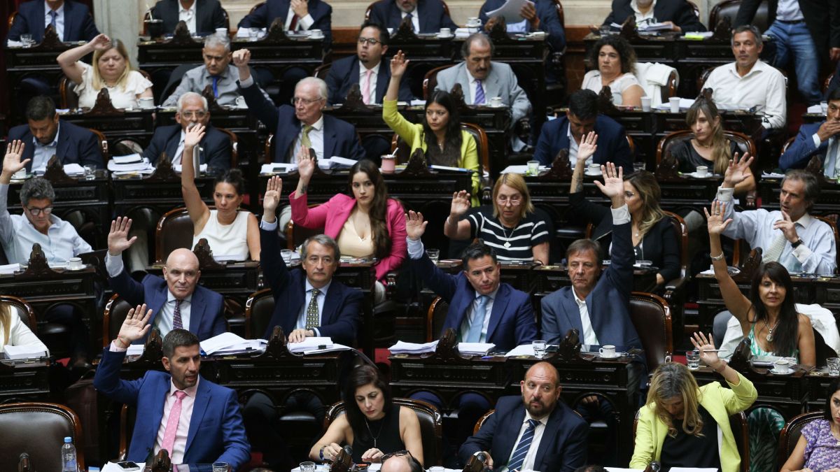 La votación de los artículos de la Ley Ómnibus arrojó 134 votos afirmativos contra 121 negativos, en el inicio de la discusión legislativa.