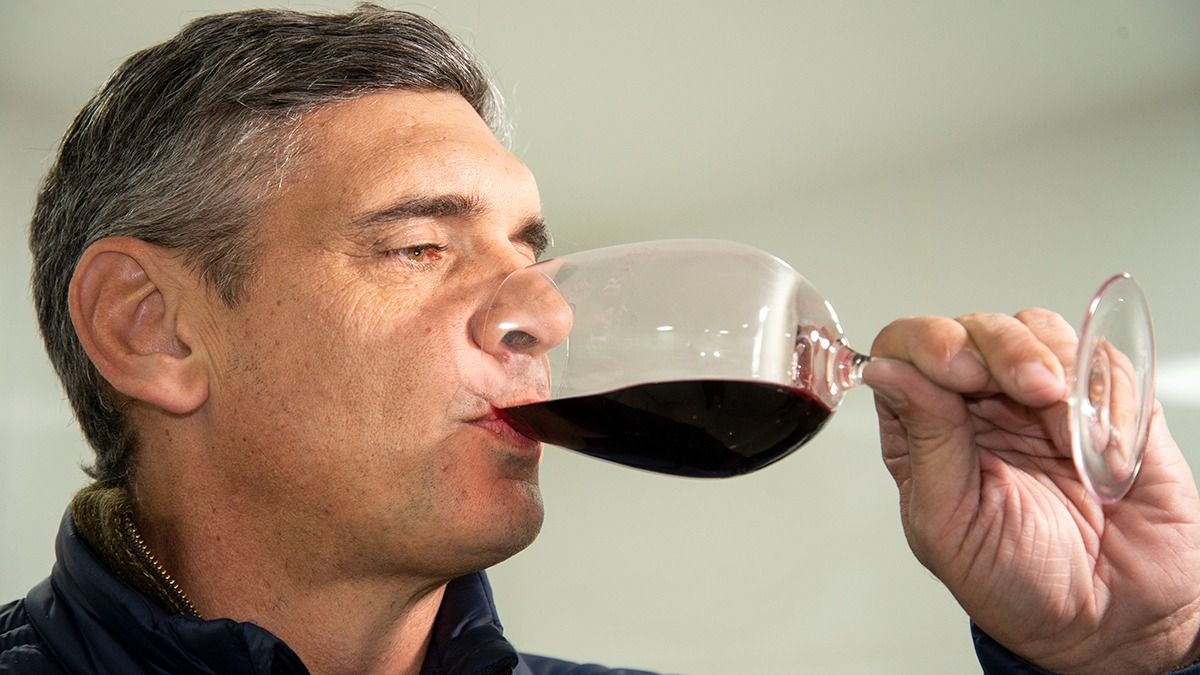 Marcelo Ricciardi asegura que pasó muchas noches trabajando junto a sus primos para poner a la bodega en marcha.