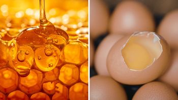 Con 1 huevo y dos cucharadas de miel, aprendé a hacer una mascarilla para el pelo Con 1 huevo y dos cucharadas de miel, aprendé a hacer una mascarilla para el pelo