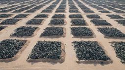 enterraron mas de 40 millones de neumaticos en el desierto por 17 anos hasta que el negocio empezo a generar perdidas