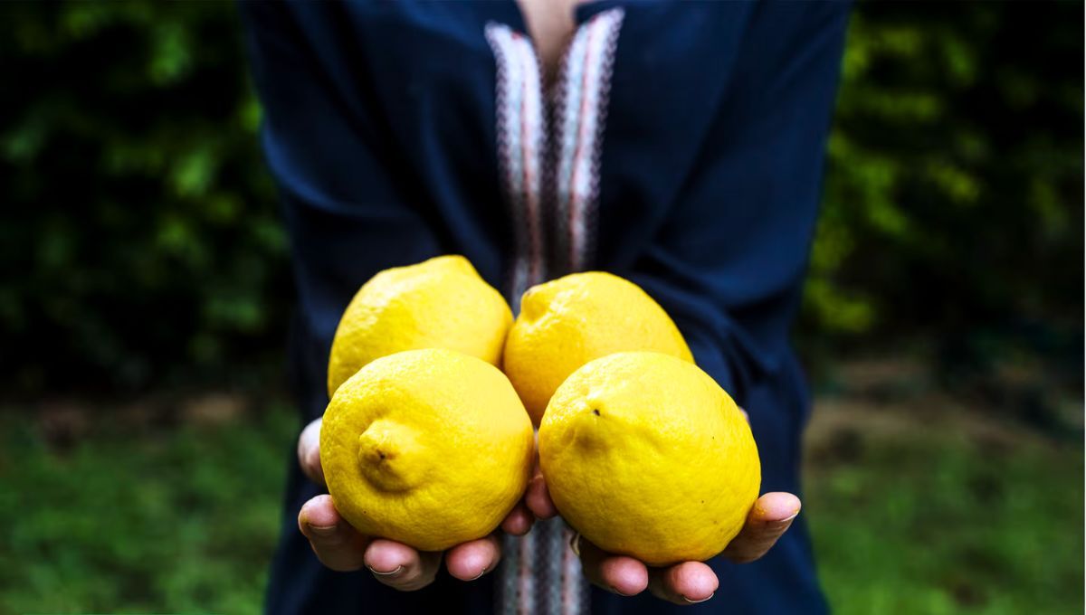 Las cáscaras de limón pueden aportar diferentes beneficios para tu jardín