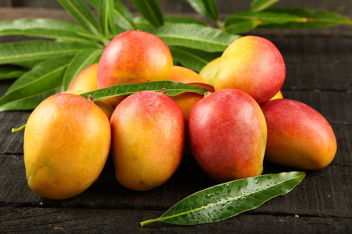 El mango es una fruta tropical de origen asiático. Imagen: Freepik El mango es una fruta tropical de origen asiático. Imagen: Freepik