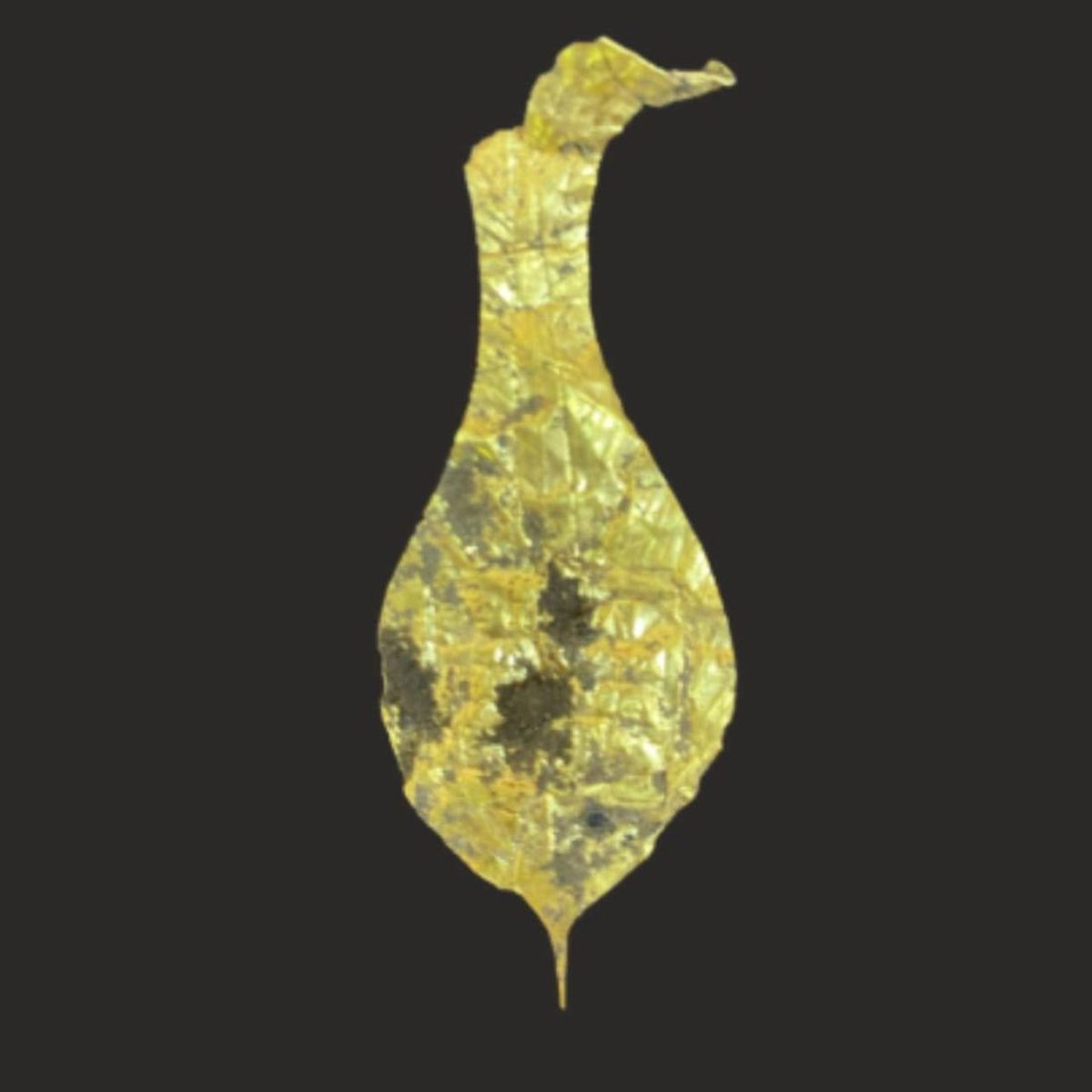 La ofrenda de oro fue la joya del descubrimiento. La ofrenda de oro fue la joya del descubrimiento.