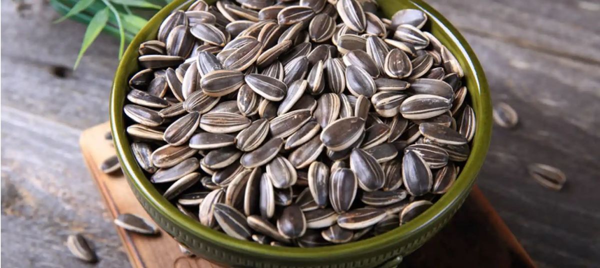 Beneficio de comer semillas de girasol, ideales para bajar de peso. Beneficio de comer semillas de girasol, ideales para bajar de peso.