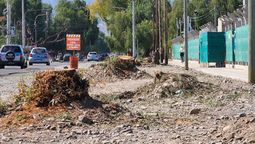 La tala de árboles se produjo en Doctor Posse, una de las calles del templo de la iglesia mormona que se levanta en un predio de casi 6 hectáreas en paralelo a la avenida Champagnat.