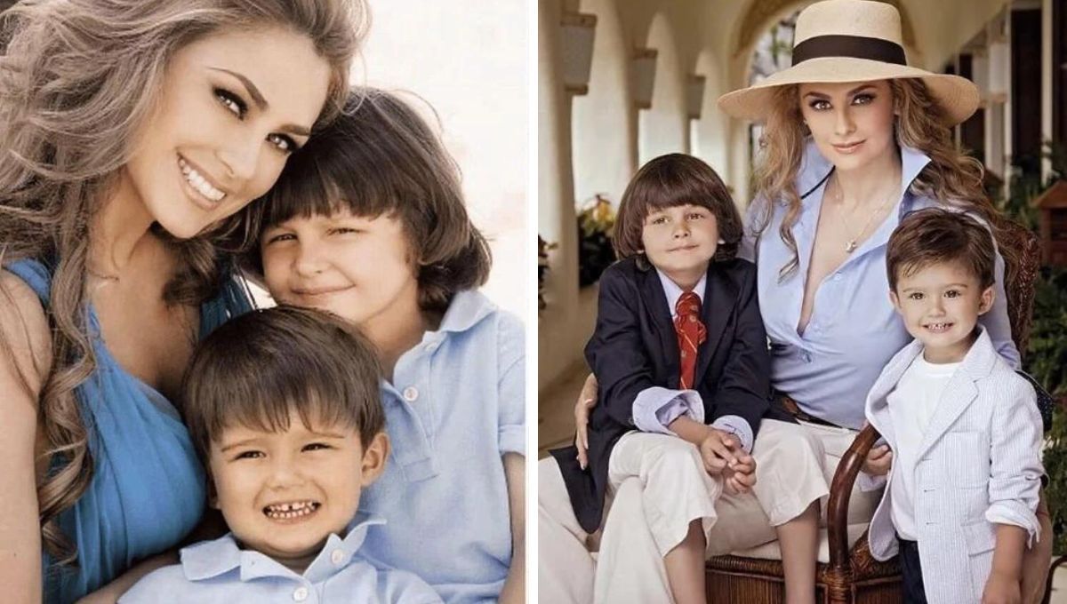 Hijo de Luis Miguel y Araceli Arámbula ya tiene novia: ¿quién es la joven?