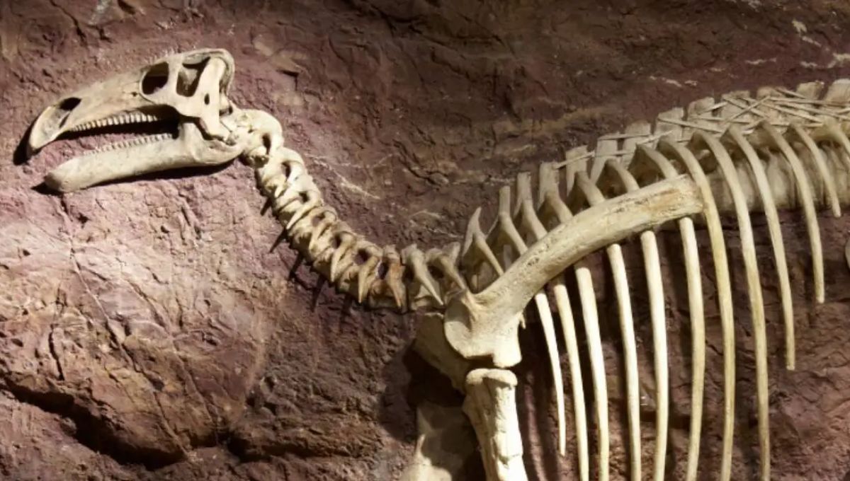 El insólito pensamiento que se tuvo cuando se descubrió al primer dinosaurio