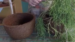 Creá una hermosa maceta en pocos pasos. Creá una hermosa maceta en pocos pasos.