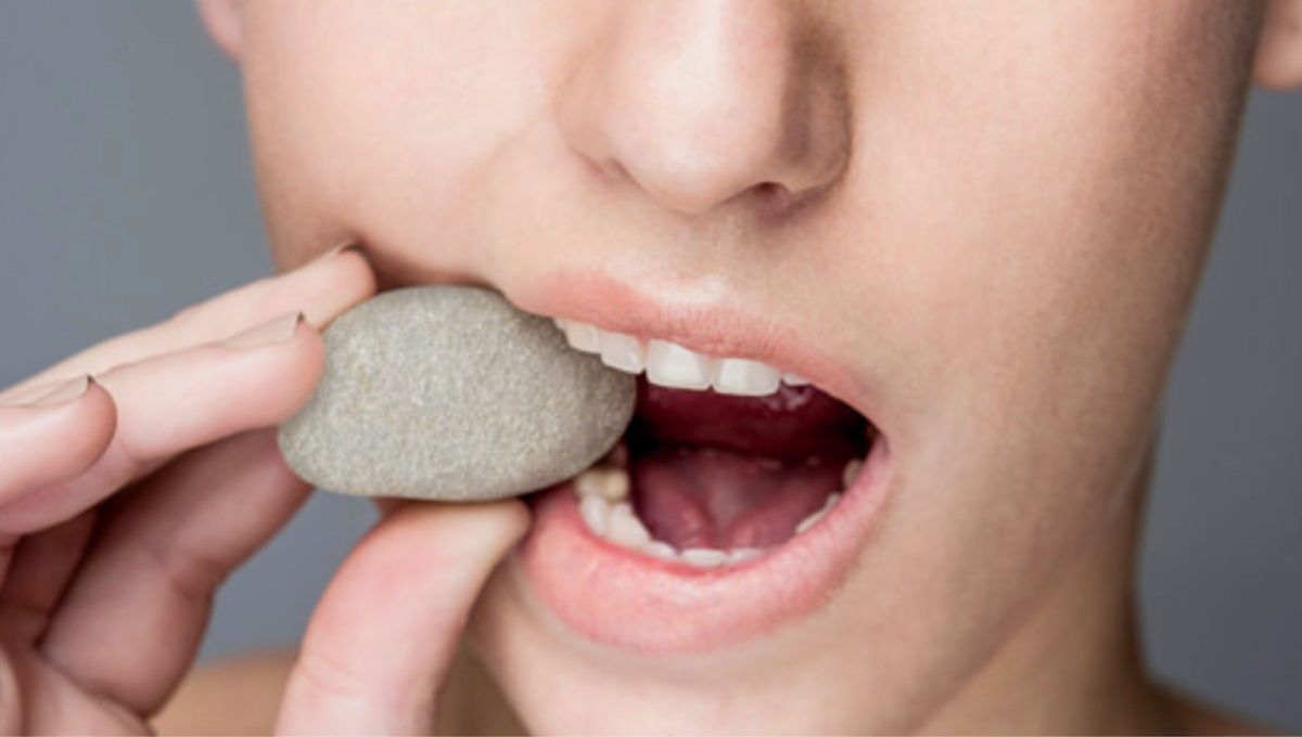 El esmalte está mucho más mineralizado y diseñado para resistir la abrasión y el desgaste mecánico constante de la masticación. El esmalte está mucho más mineralizado y diseñado para resistir la abrasión y el desgaste mecánico constante de la masticación.