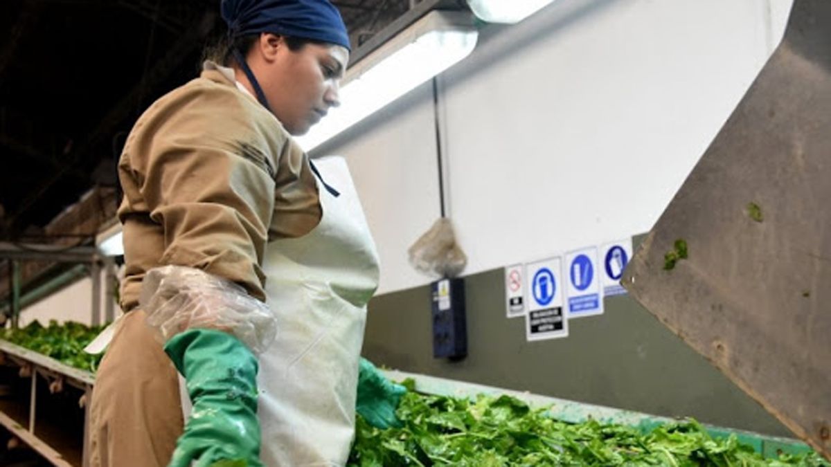 La Terre: fracasó la conciliación y ahora resolverá la Justicia