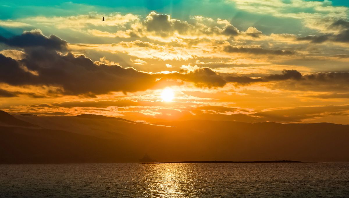 Esta palabra propone arrancar el día con otras energías, contemplando el amanecer y reflexionando sobre nuestras acciones. Esta palabra propone arrancar el día con otras energías, contemplando el amanecer y reflexionando sobre nuestras acciones. 