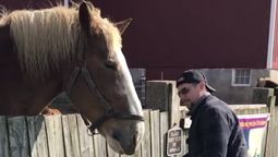 Susto en la granja: el insólito momento en que un caballo levanta por el aire a un niño