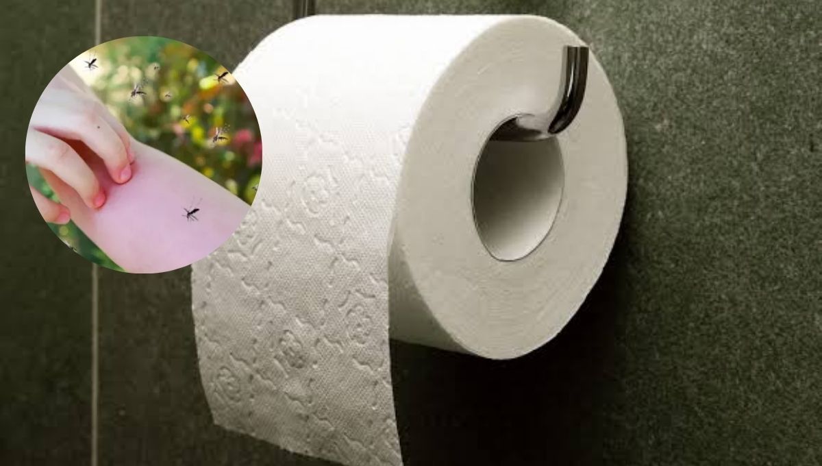 Con un poco de papel, puedes fabricar un repelente casero.&nbsp;