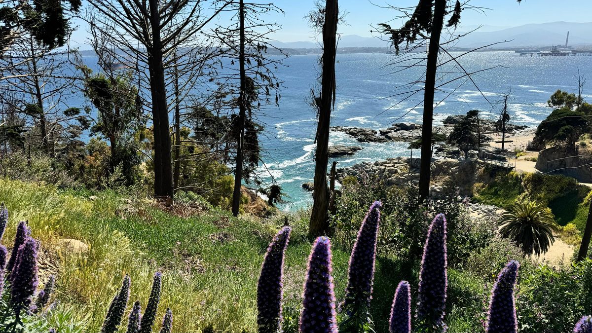 Los senderos del parque llevan hasta miradores con vistas panorámicas. Los senderos del parque llevan hasta miradores con vistas panorámicas.