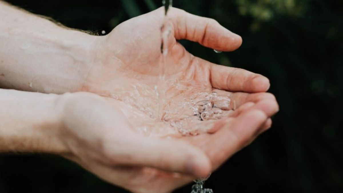 Foto: Pixabay Foto: Pixabay