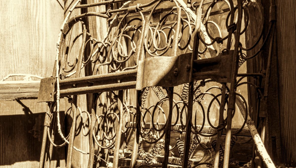 Recicla los viejos resortes de una cama y transformalos en esta genial idea para tu habitación