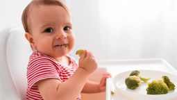 Alimentación complementaria: las comidas que se les pueden ofrecer a los bebés en las primeras semanas
