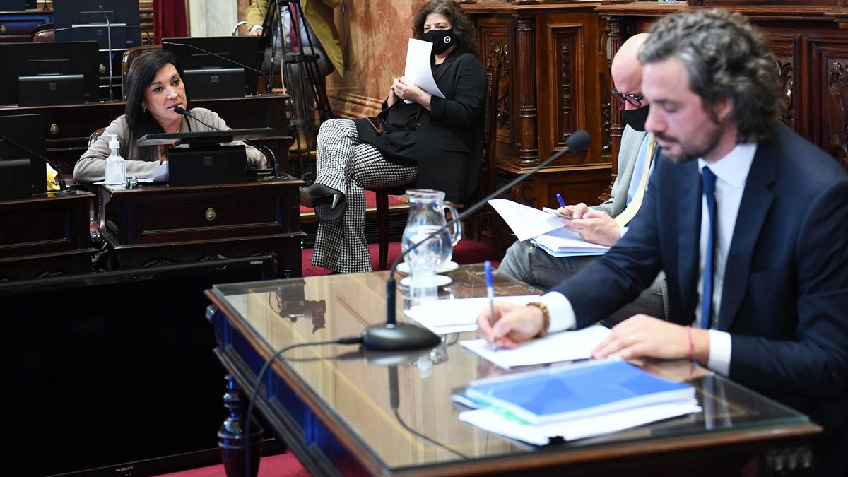 Santiago Cafiero ante el Senado.