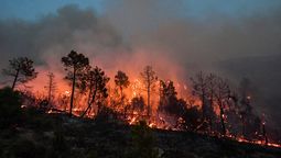 Toma las medidas necesarias para cuidarte de los incendios