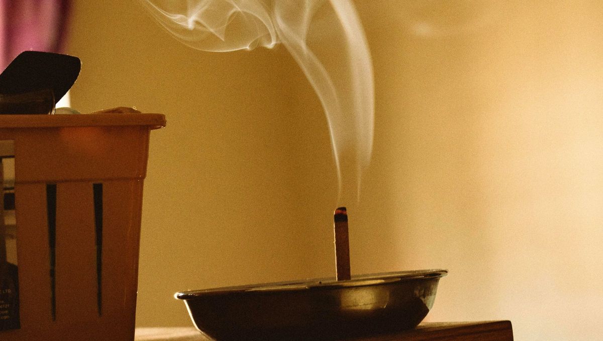 El incienso de canela tiene miles de beneficios personales y para el hogar.