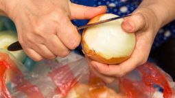 Si tenés cebolla en casa, tenés un tesoro en tus manos: reutiliza su cáscara como condimento. Fuente: Canva Si tenés cebolla en casa, tenés un tesoro en tus manos: reutiliza su cáscara como condimento. Fuente: Canva
