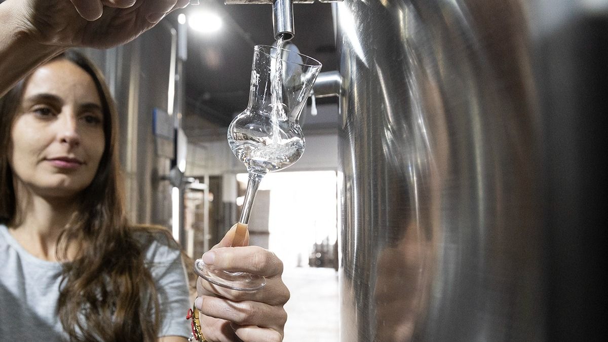 Según Rodríguez, la teoría y la práctica deben combinarse a la perfección para el desarrollo profesional en el mundo de los destilados Según Rodríguez, la teoría y la práctica deben combinarse a la perfección para el desarrollo profesional en el mundo de los destilados