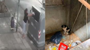 Video: una mujer tiró a su perro a un tacho de basura y quedó filmada