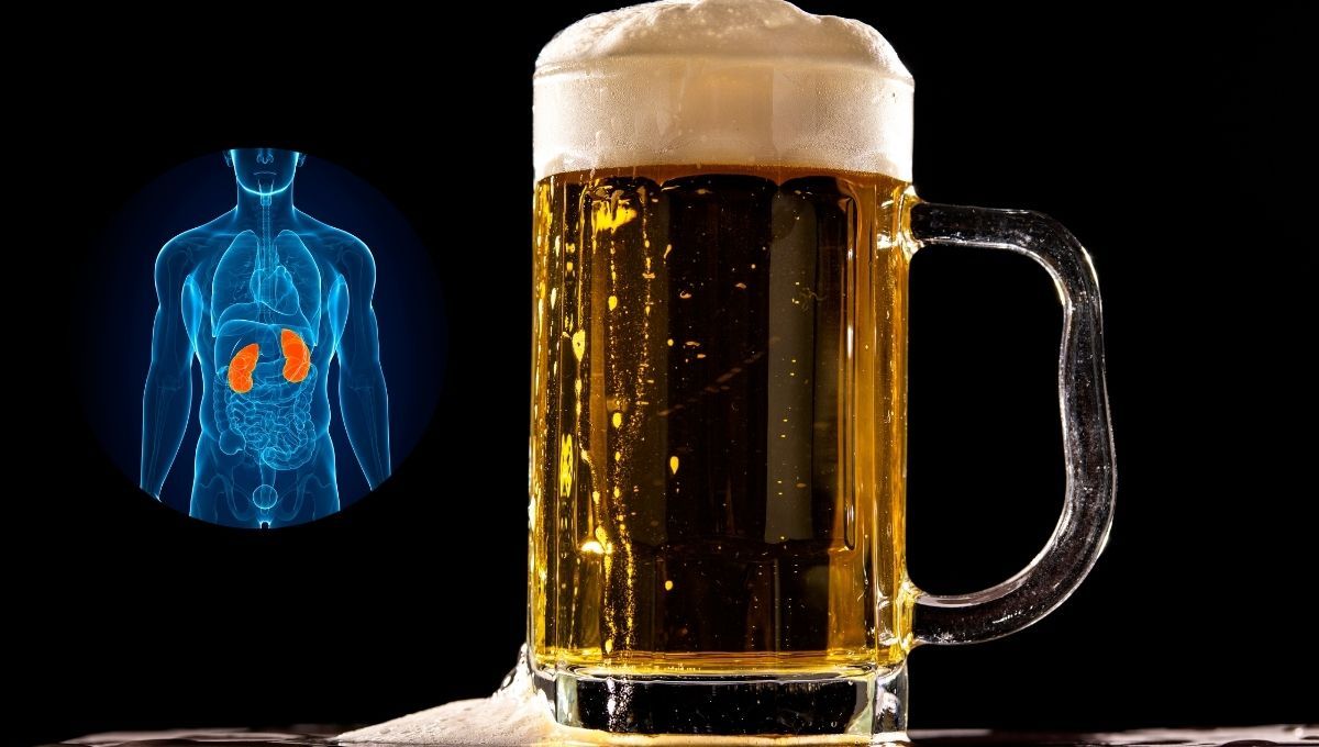 No podrás creer cuál es el verdadero efecto que produce la cerveza en tus riñones y salud, según estudios