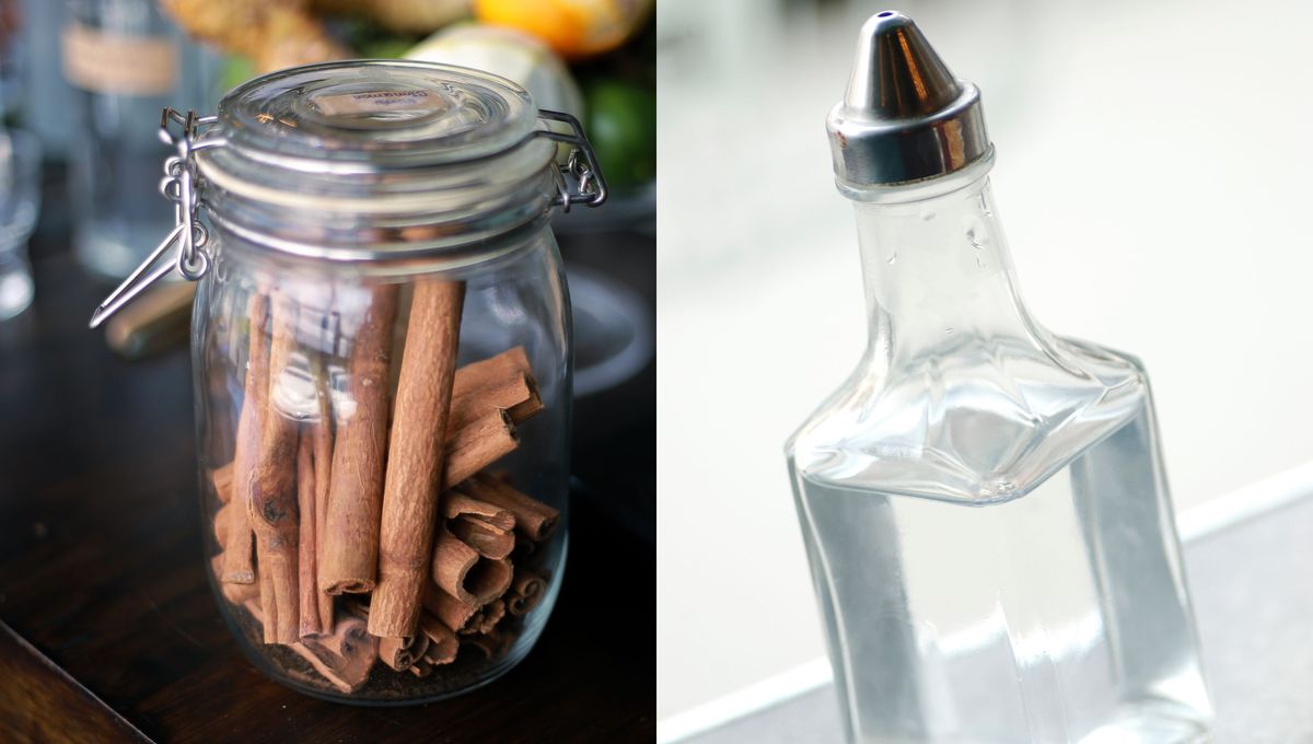 Ambos productos naturales, son muy seguros para limpiar la casa y mantener a los insectos alejados del jardín. Ambos productos naturales, son muy seguros para limpiar la casa y mantener a los insectos alejados del jardín.